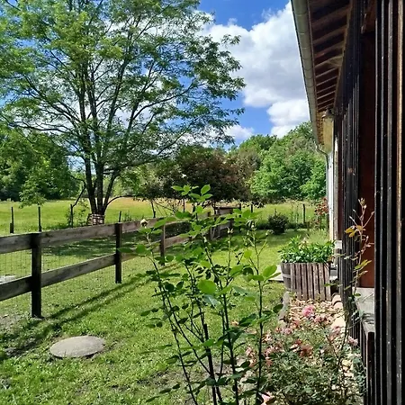 Villa De Charme En Pleine Nature Avec Proche Et Ocean