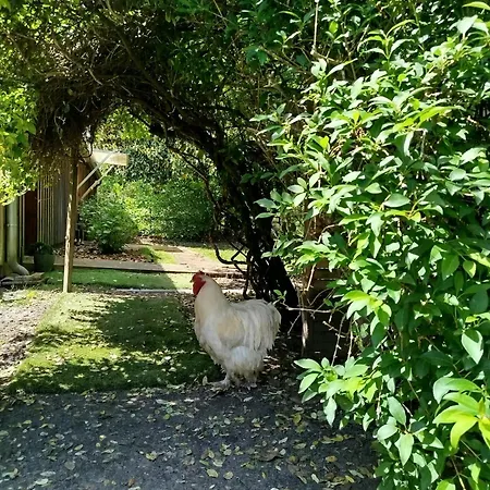 De Charme En Pleine Nature Avec Proche Et Ocean Villa *